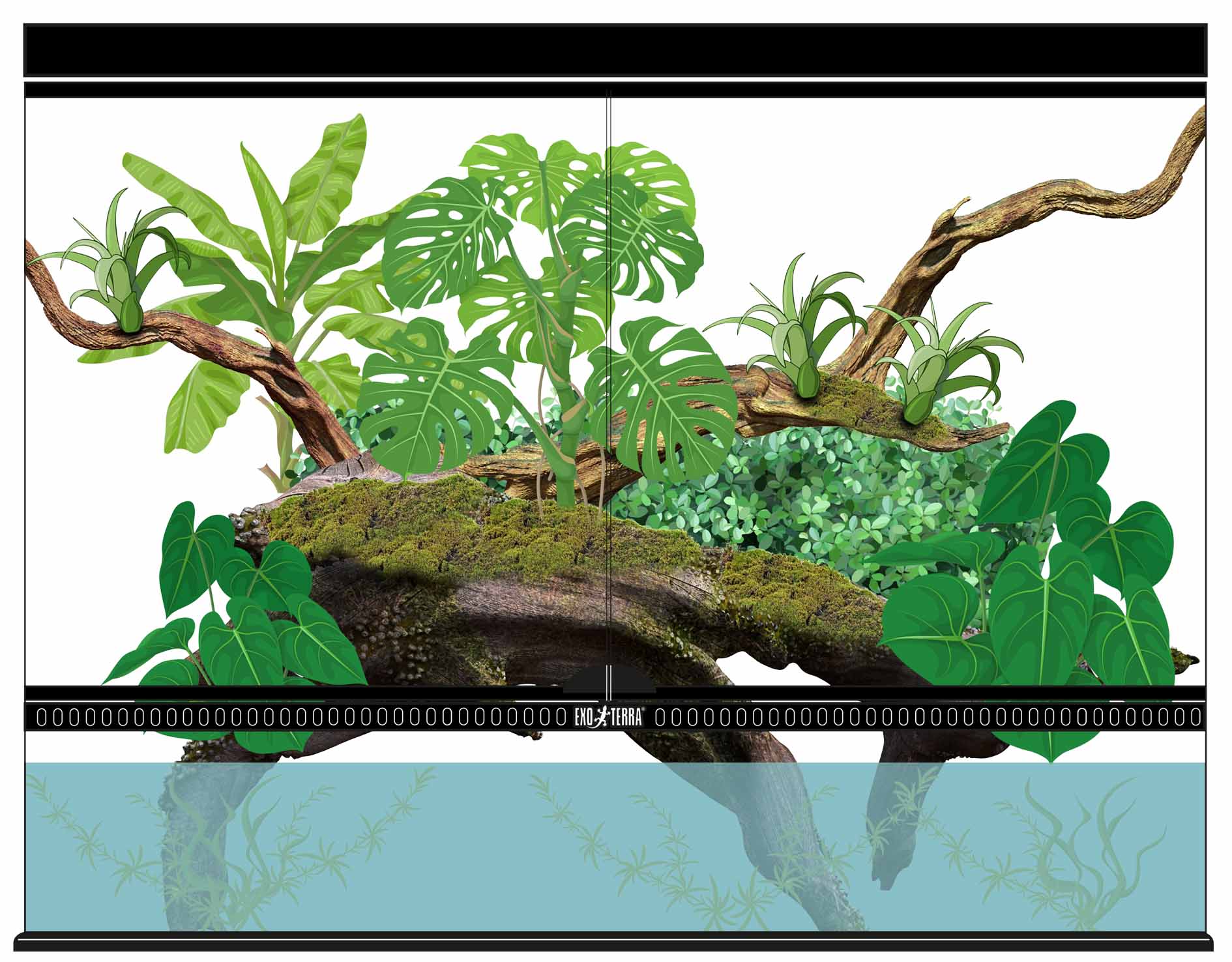 Tropical Aqua Terrarium
