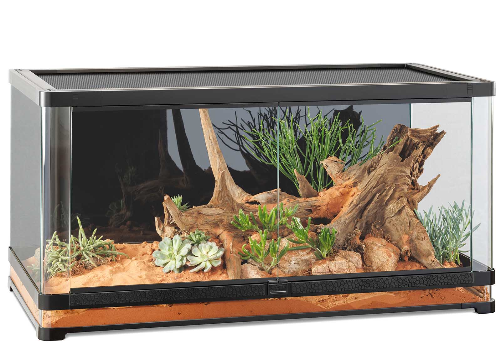 25 Years of Innovation