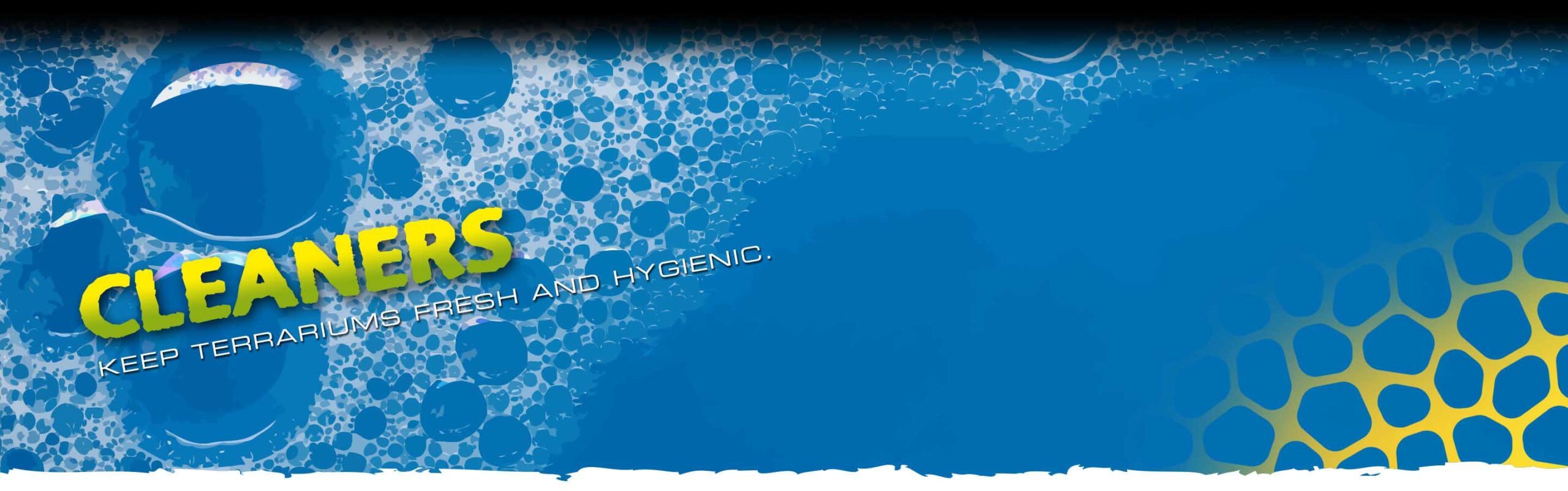 Cleaners Header