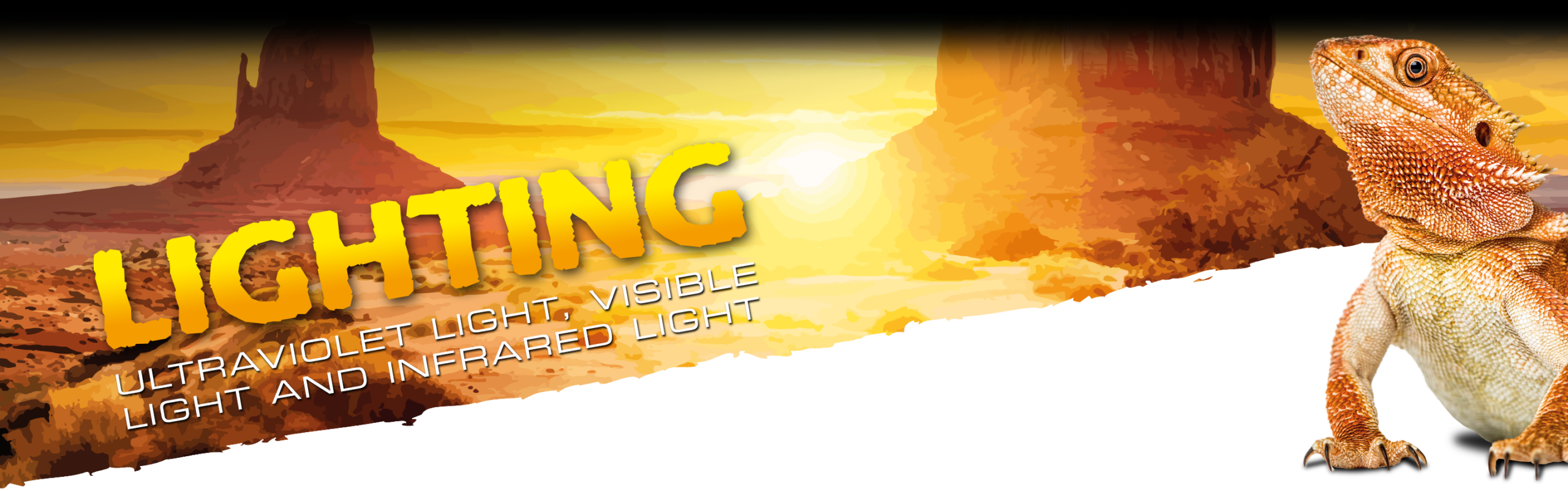 Lighting
