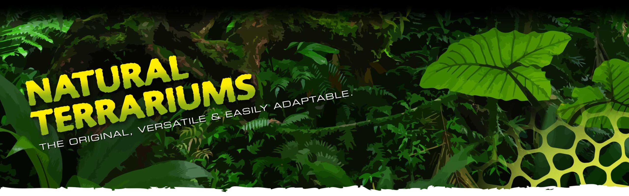 Natural Terrariums