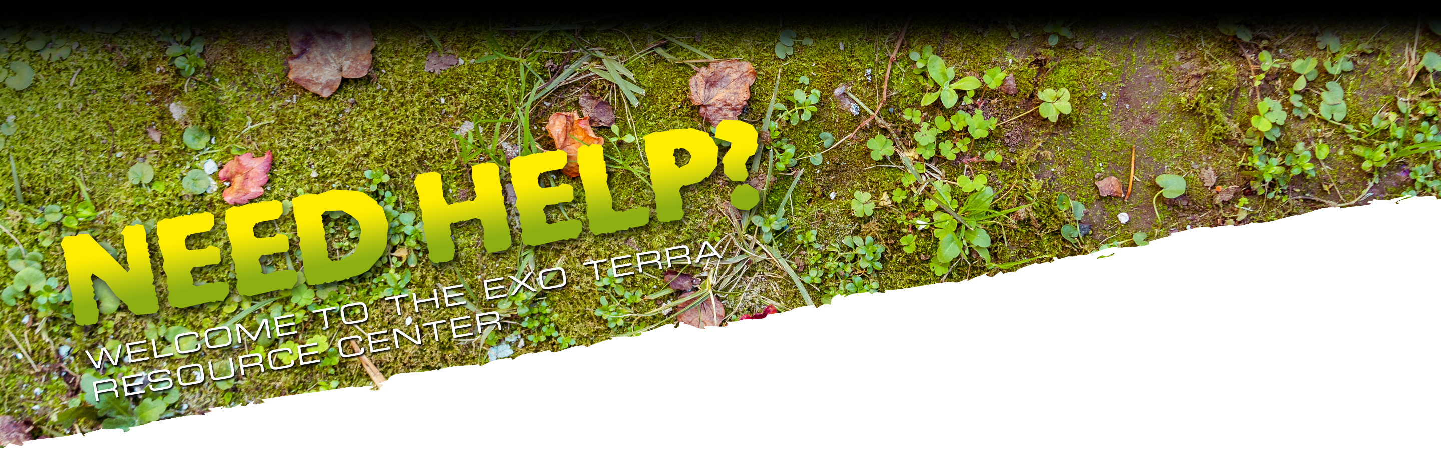 Need Help? Exo Terra's resource center
