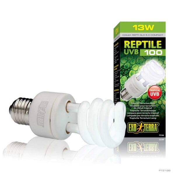 Natural Light Compact 13W