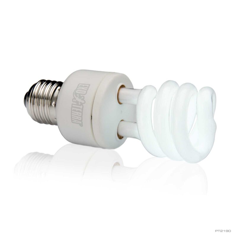 Natural Light Compact 13W