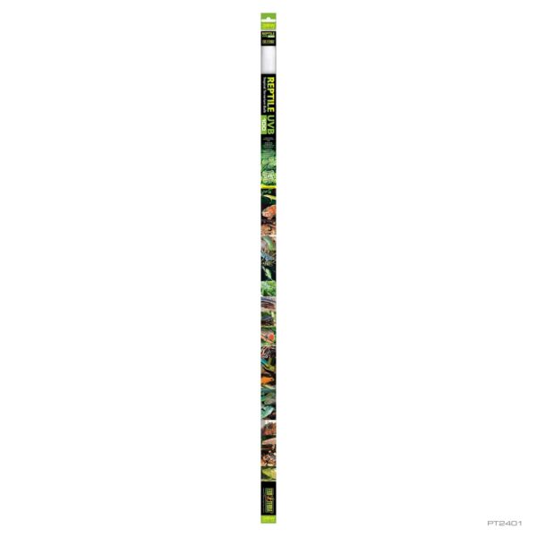 Natural Light Linear 38W