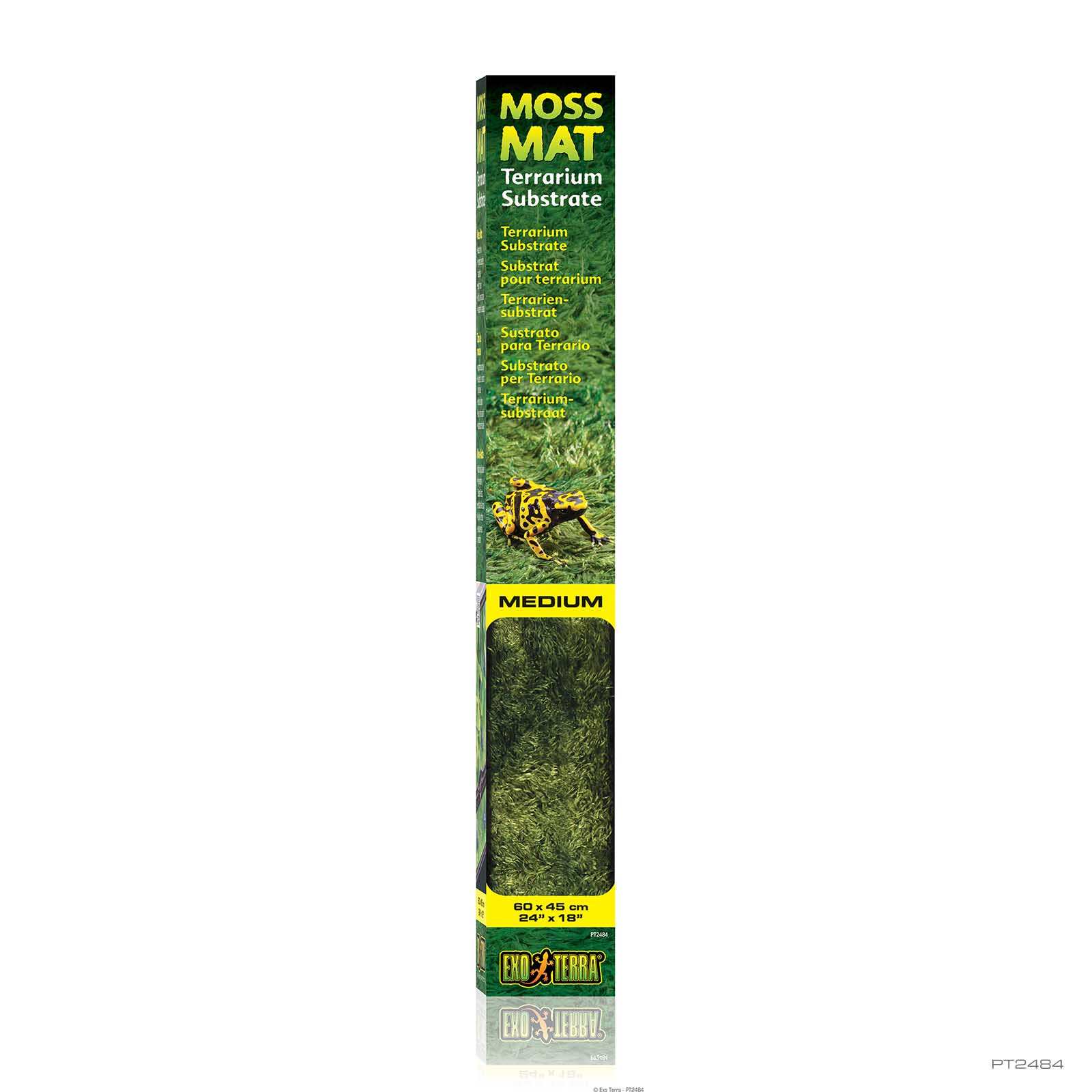 オーストラリア産　タマムシセット2　8-17mm Moss Mat Mini Medium