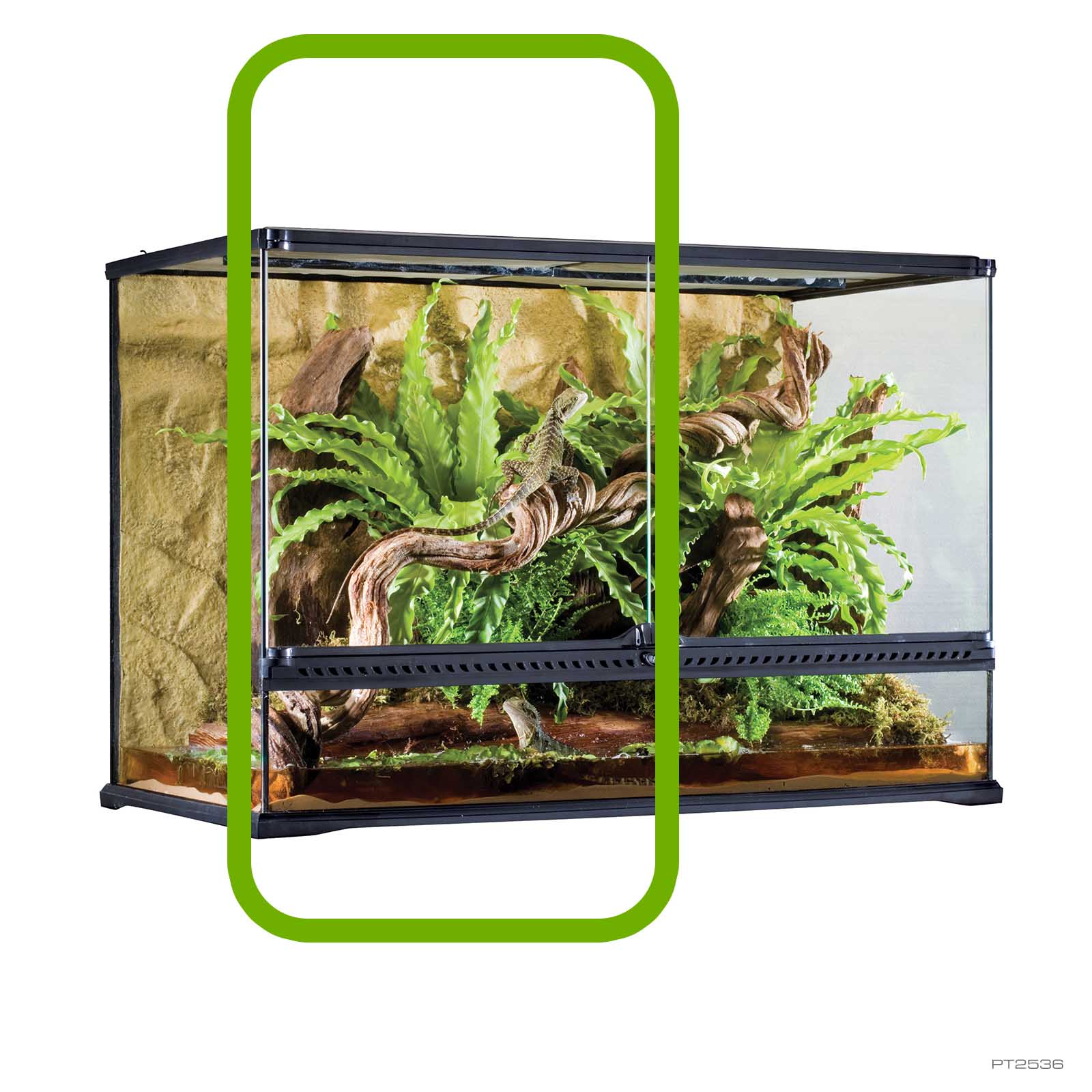 EXO TERRA テラリウム＋REPTI WILD アクリルケース30×20 Amazon.com: Exo Terra Glass Terrarium Kit, for Reptiles and