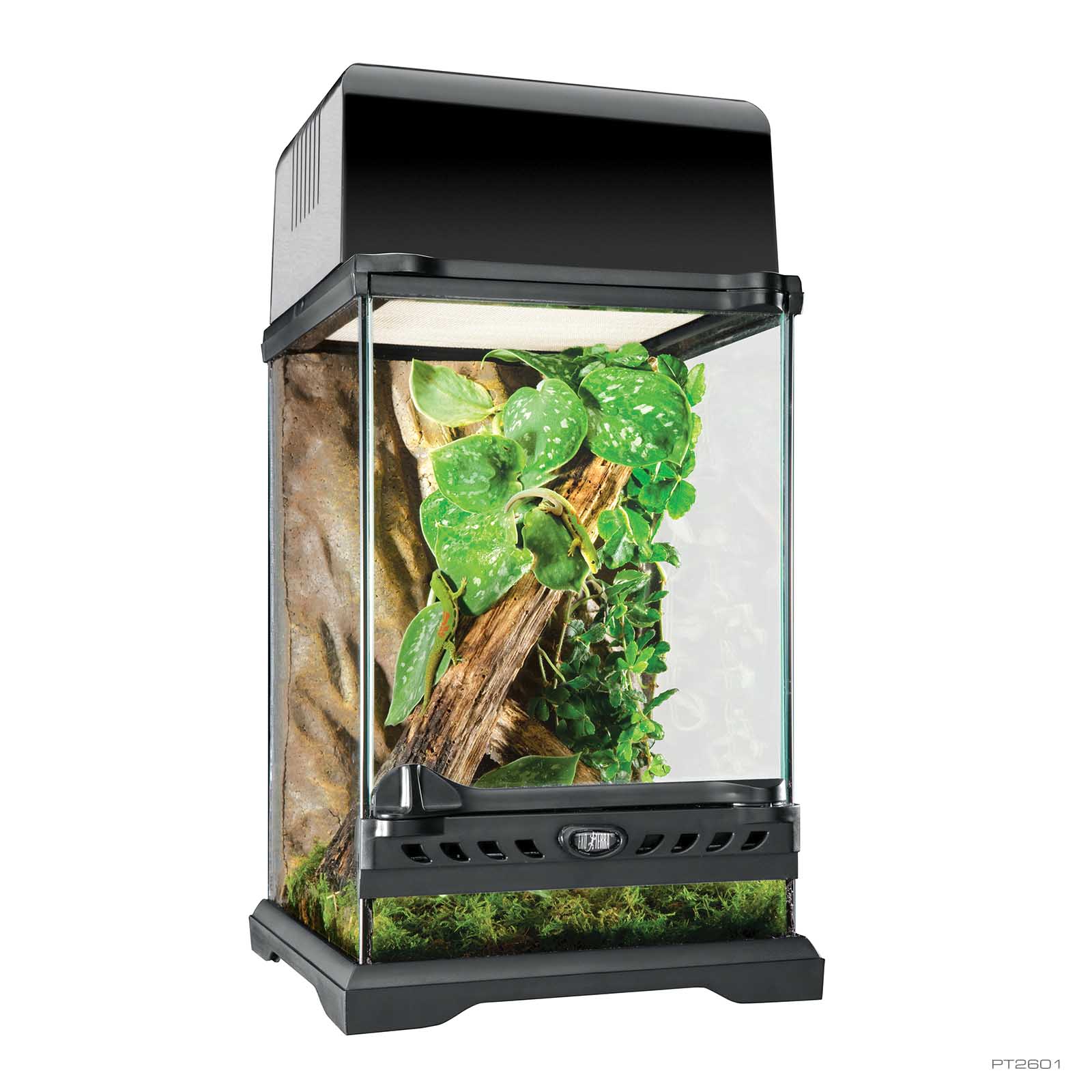 Amazon.com: Exo Terra Glass Natural Terrarium Kit, for
