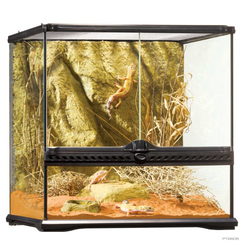 レイアウト用品 EXO TERRA NATURAL TERRARIUM 6030 Natural Terrarium Medium Low