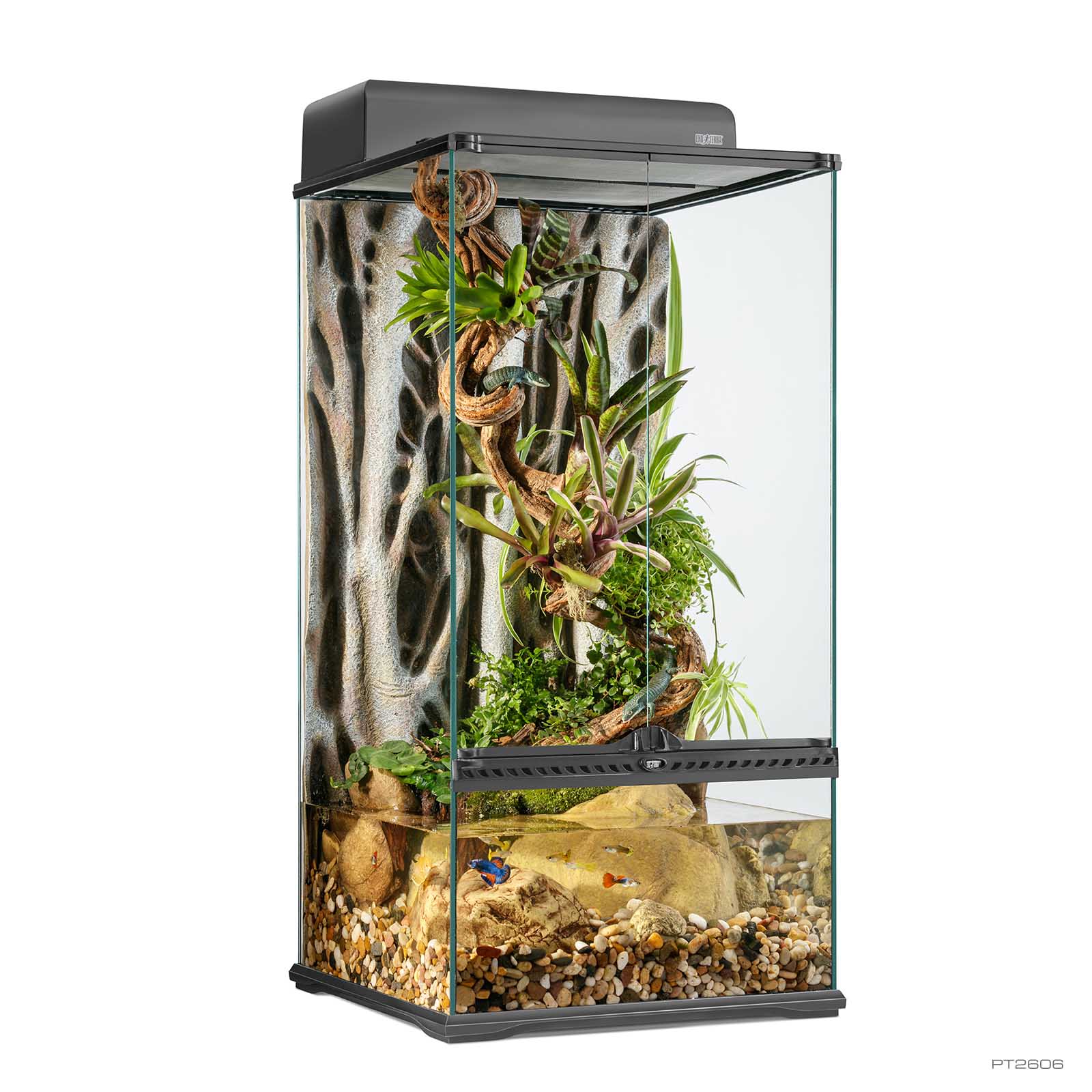Dripper Plant Large