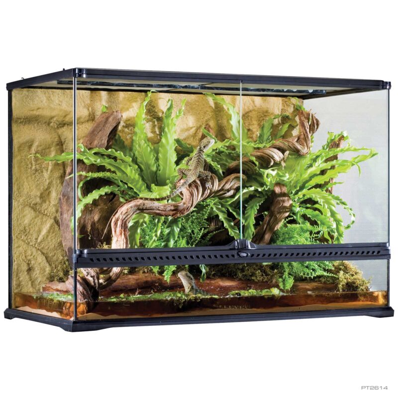 レイアウト用品 EXO TERRA GLASS TERRARIUM 4630 PT2614_01-800x800.jpg?lossy=0&