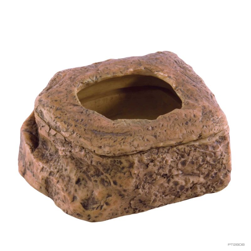 Buffalo Worm Dish