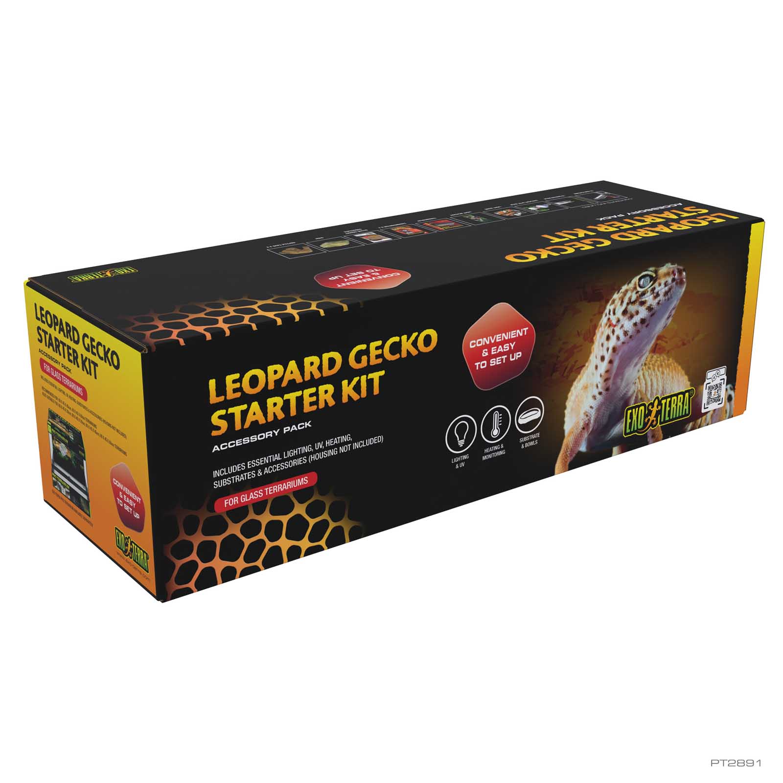 Leopard Gecko Starter Kit