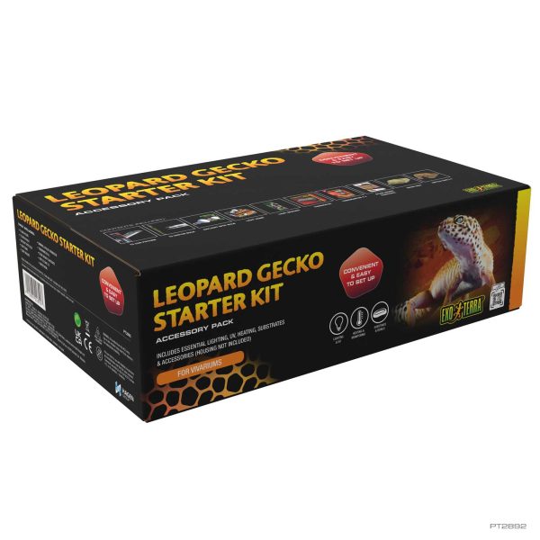 Crested Gecko Starter Kit
