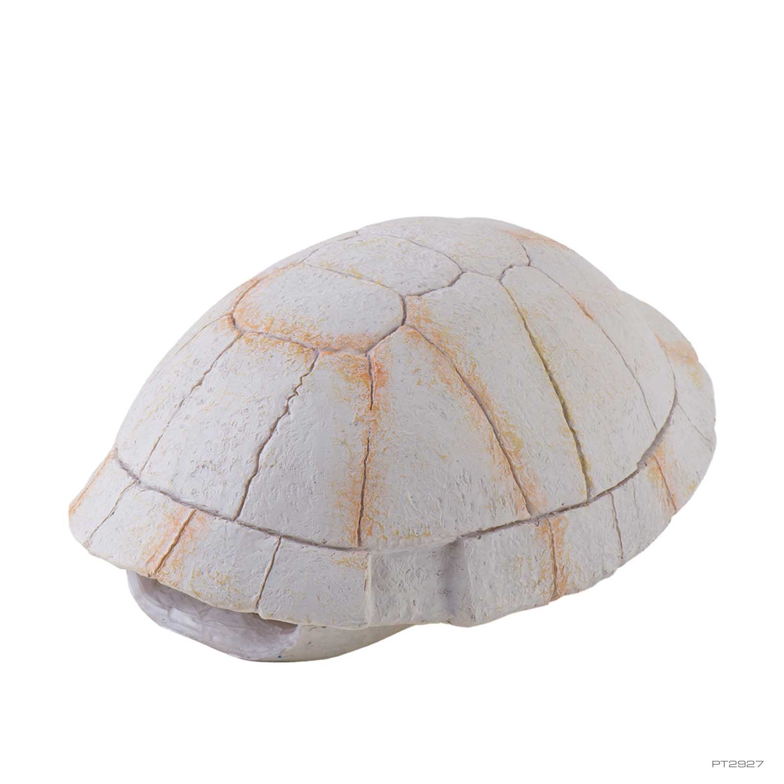 calma store 38kt Skelton Tortoise 新品 Tortoise Skeleton
