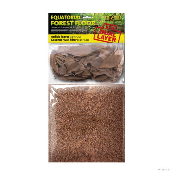 Equatorial Forest Floor 4QT - 4