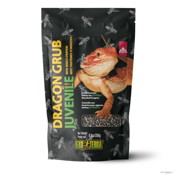 Dragon Grub Juvenile 4.4 oz - 125 g