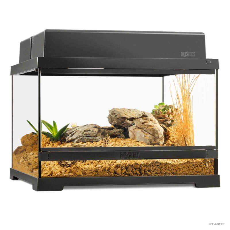Pro Terrarium Small Low