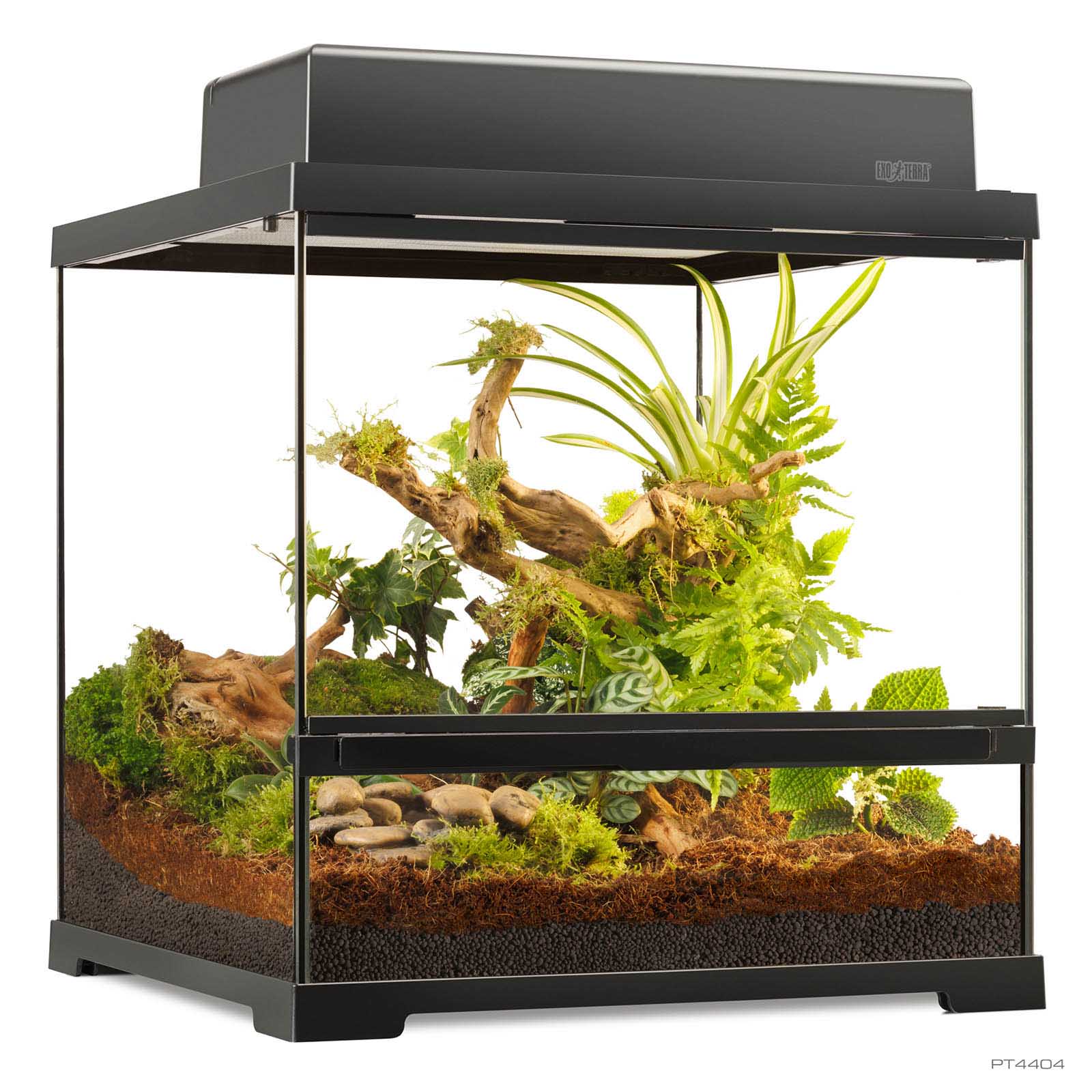 EXO TERRA ナチュラルテラリウム 3030 ミニワイド Pro Terrarium X-Small Wide