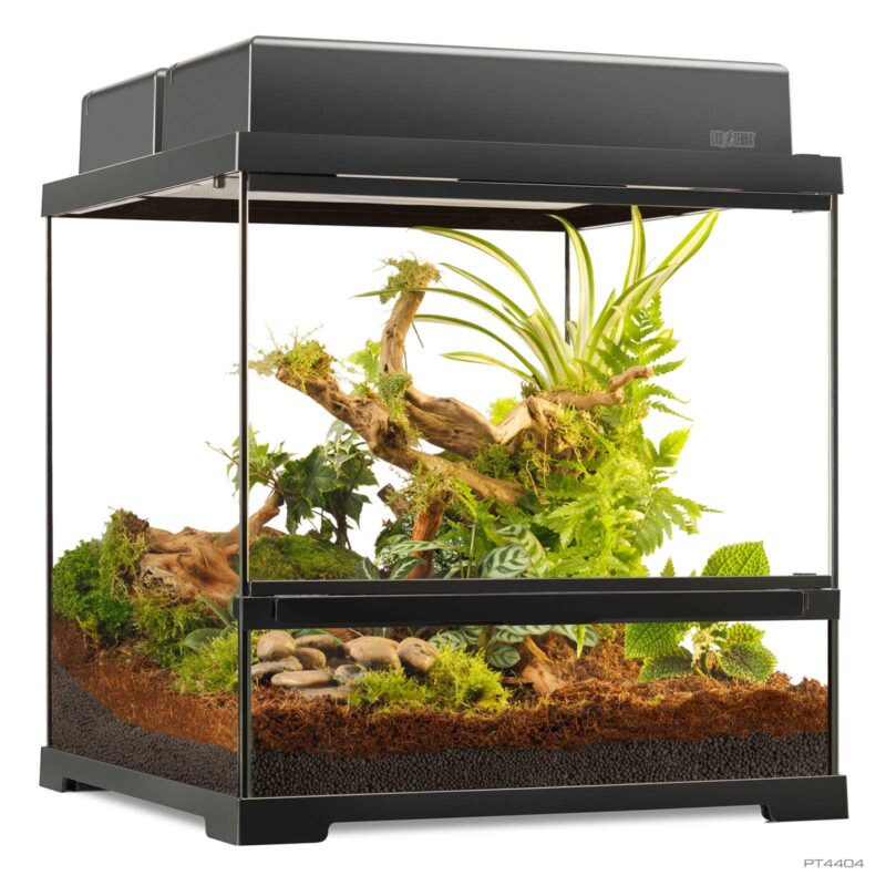 Pro Terrarium Small Wide