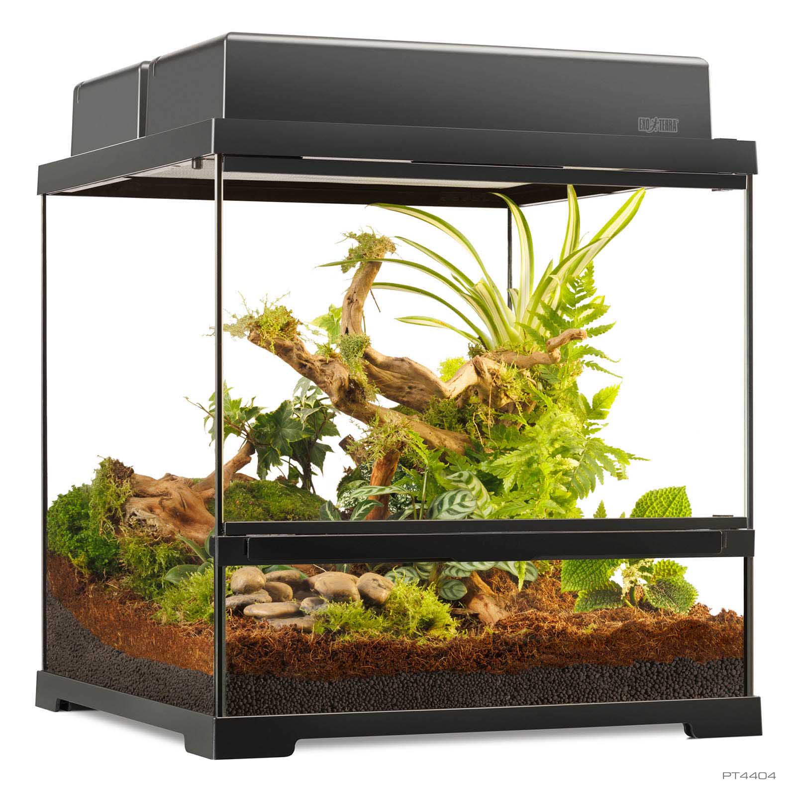 Pro Terrarium Small Wide