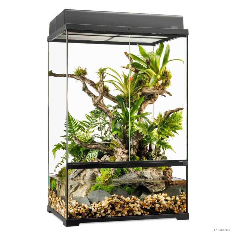 Pro Paludarium Medium X-Tall