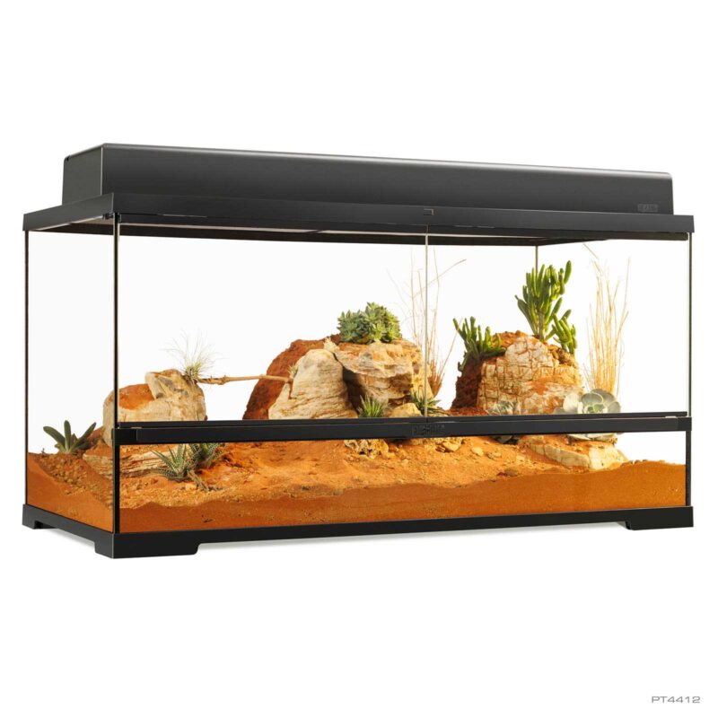 Pro Terrarium Large Wide