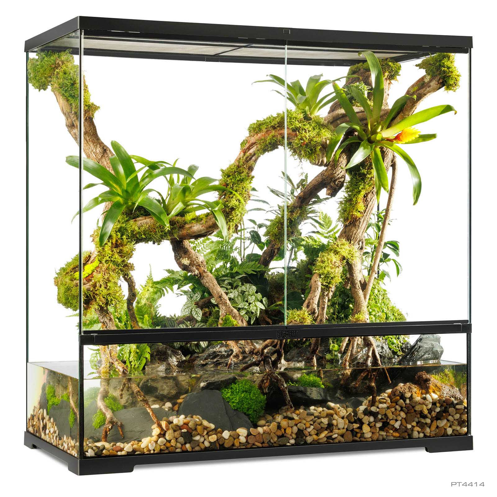 My Experience with Exo Terra Glass Terrariums for Chameleons