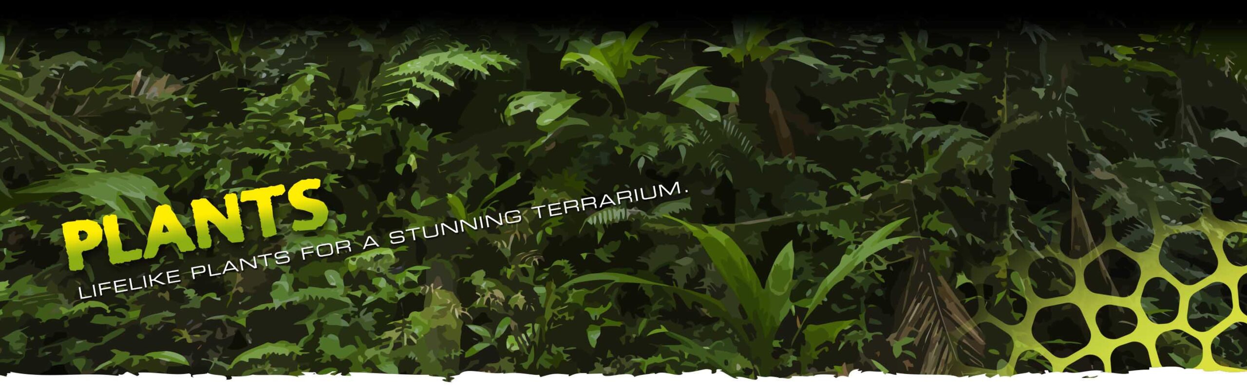 Bottom Plants Header