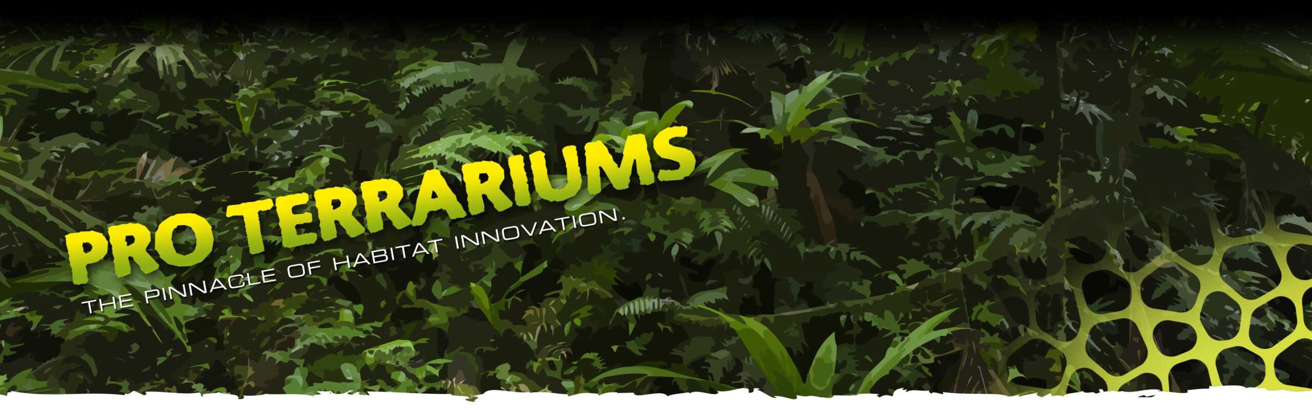 Pro Terrariums