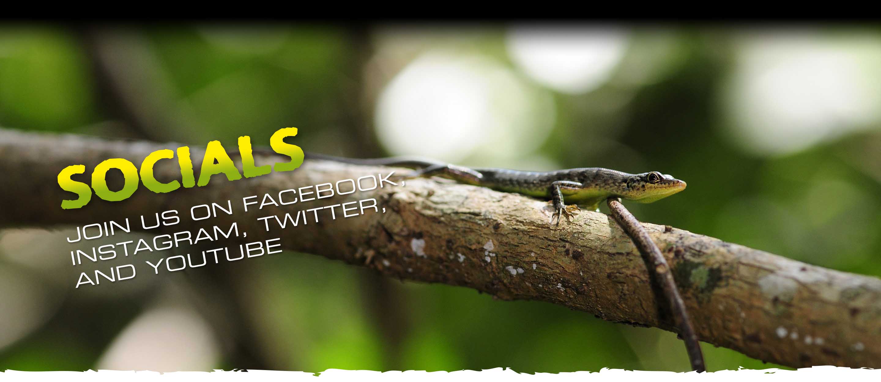 Follow Exo Terra on socials channels