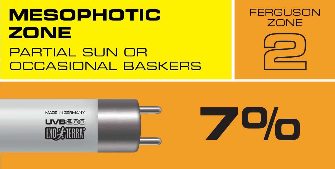 New UVB VHO T5 Lighting