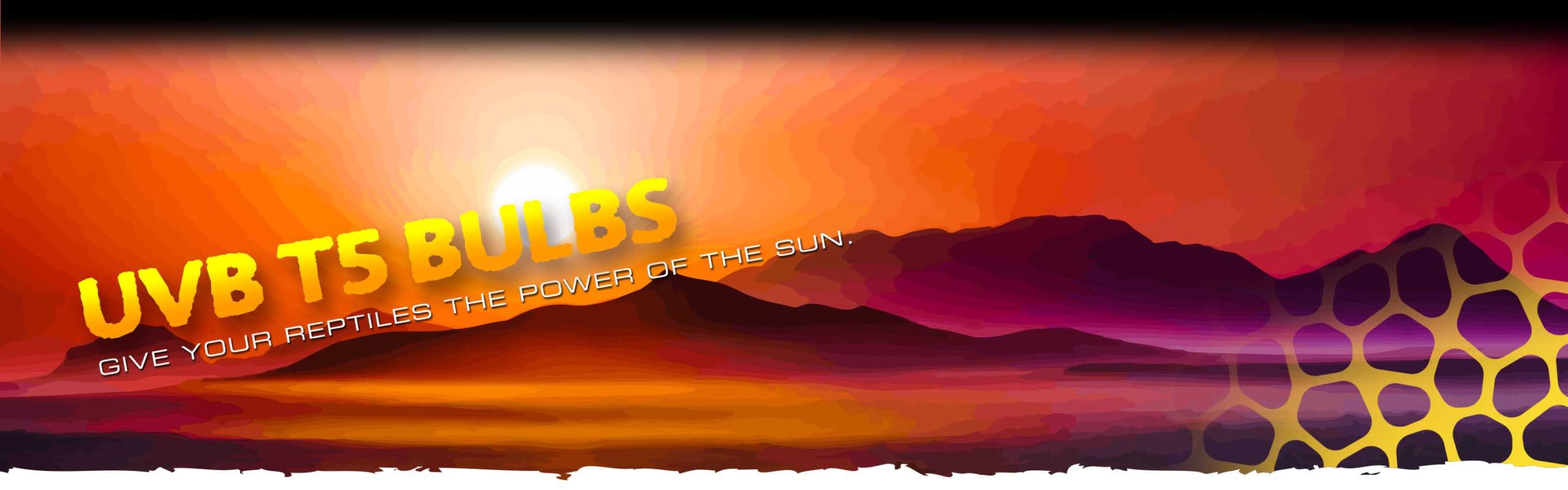 Ultraviolet Lights Header