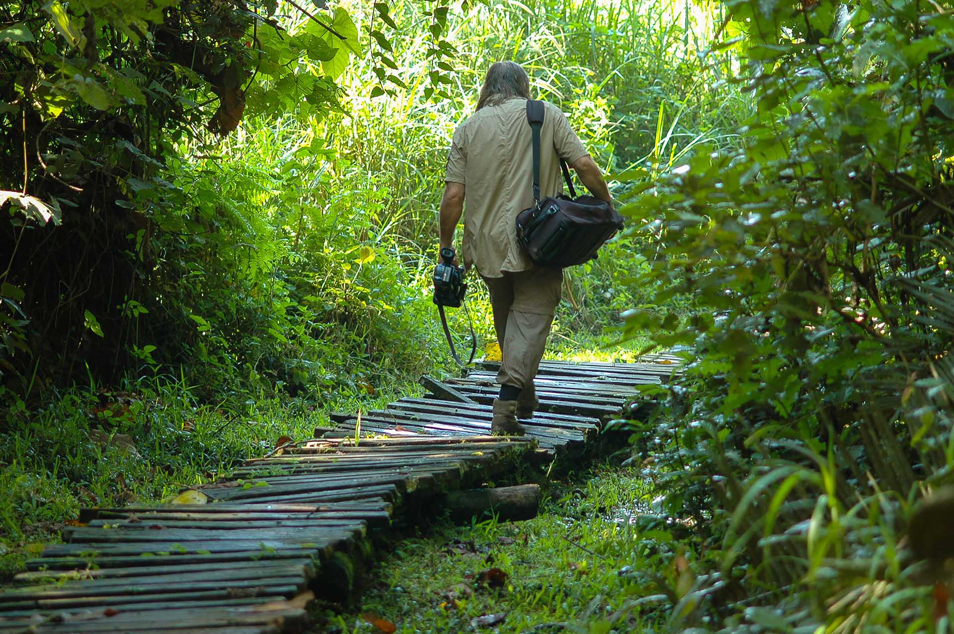 Bigodi Swamps