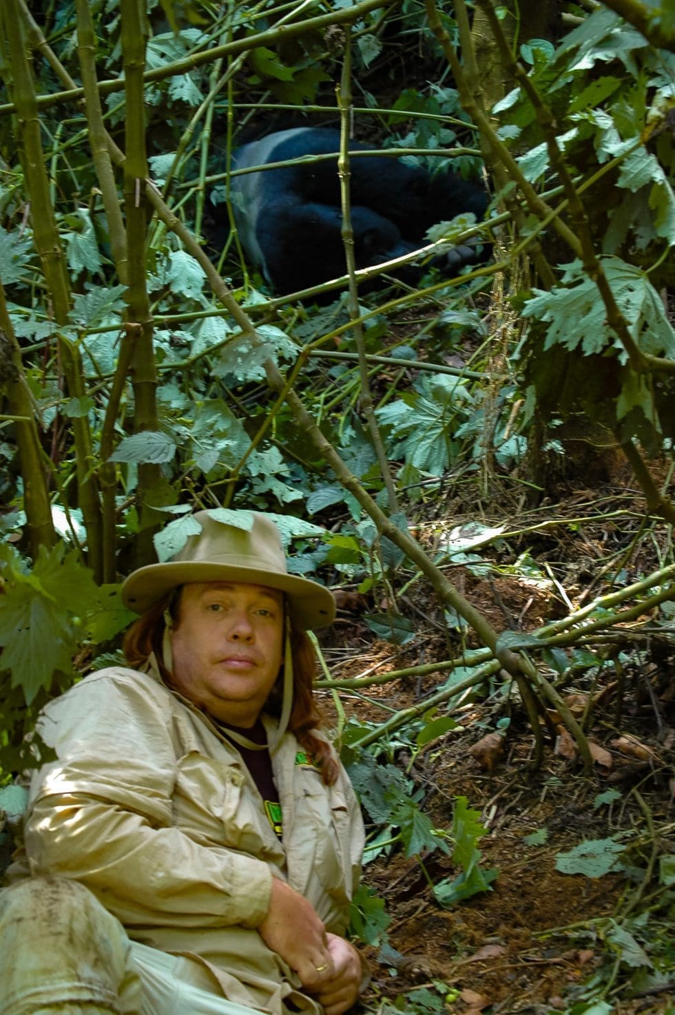 Encounter with Mountain Gorilla