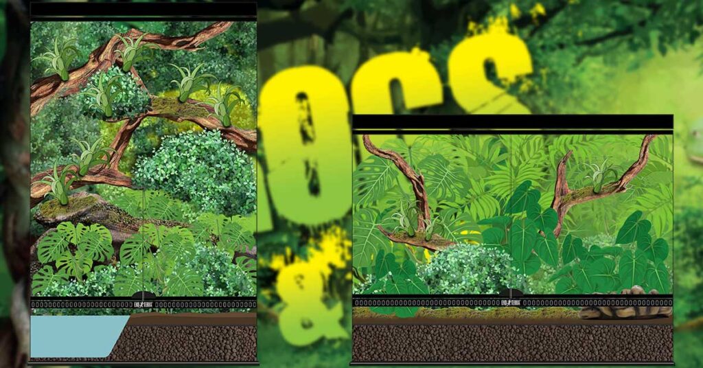 Microhabitat Types For Frogs