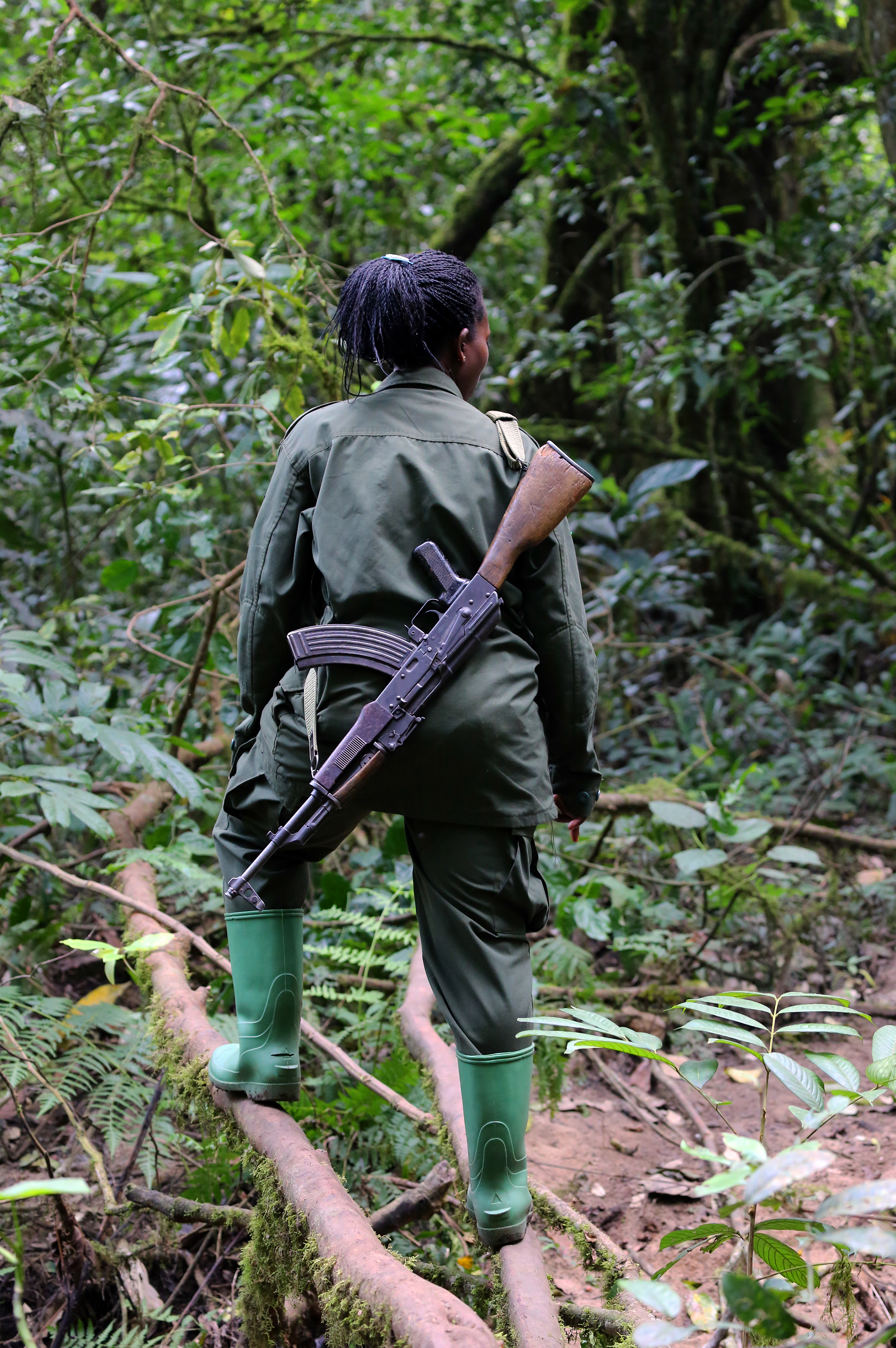 Kibale Forest