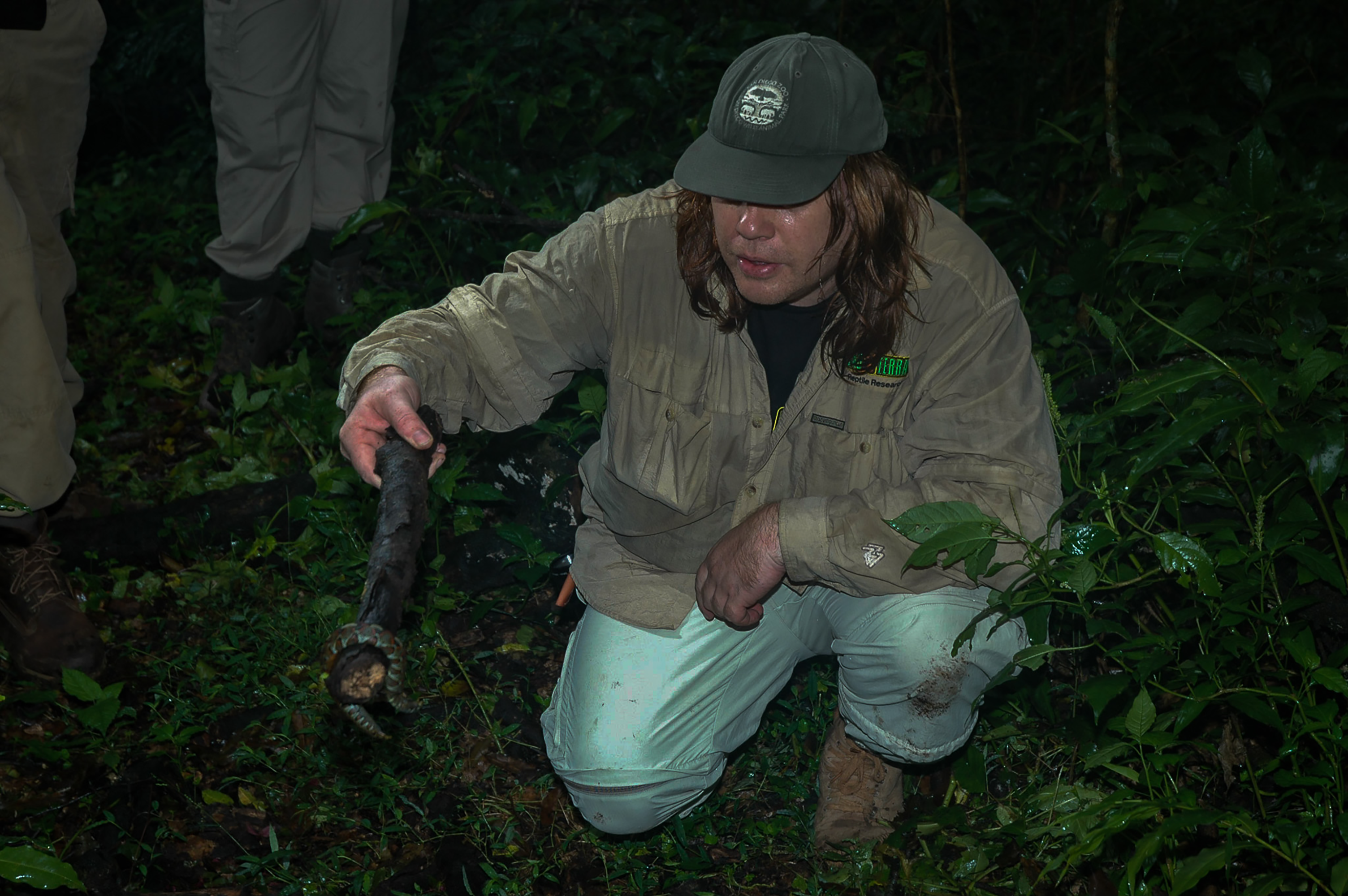 Kibale Forest