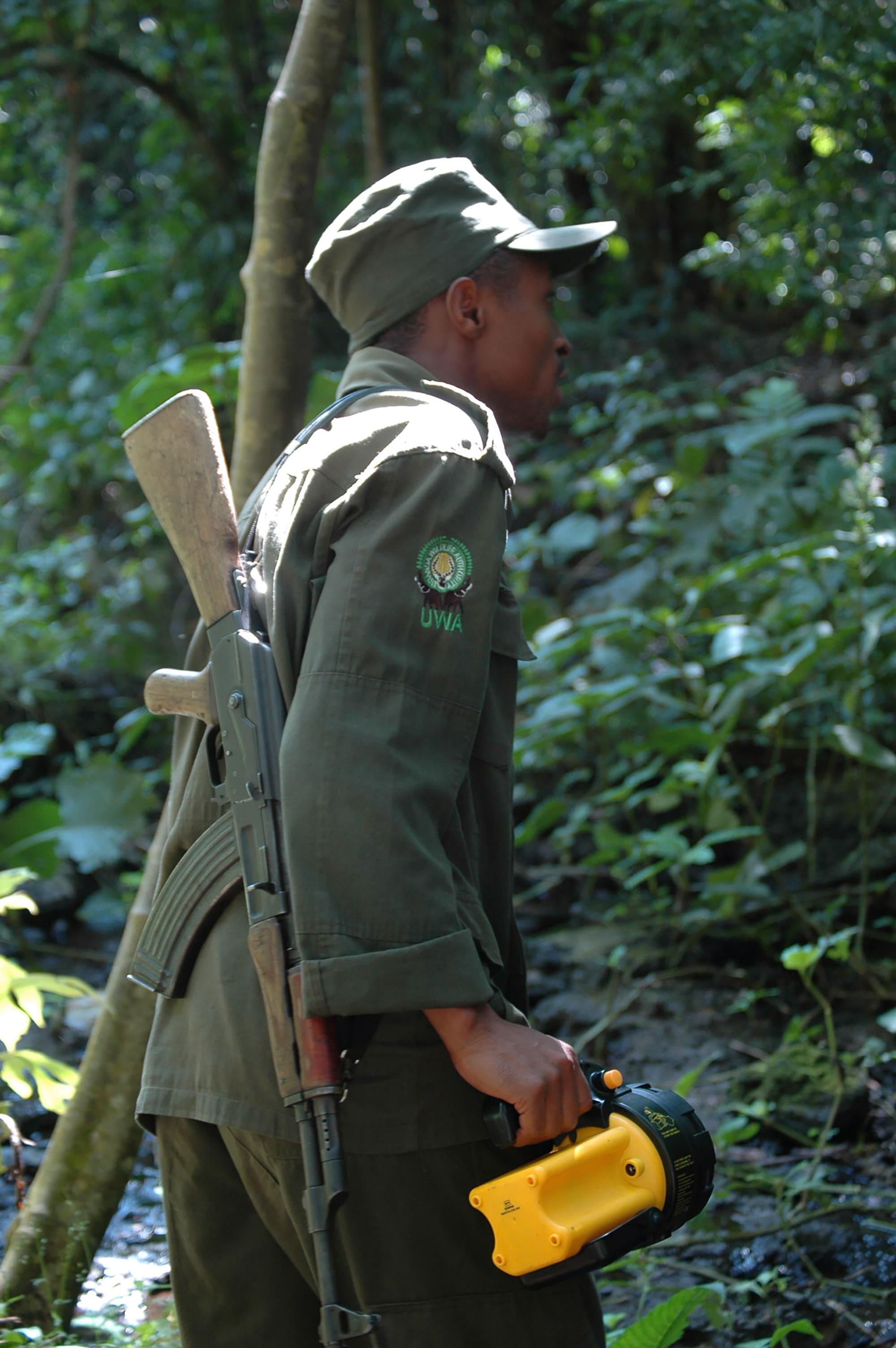 Maramagambo Forest