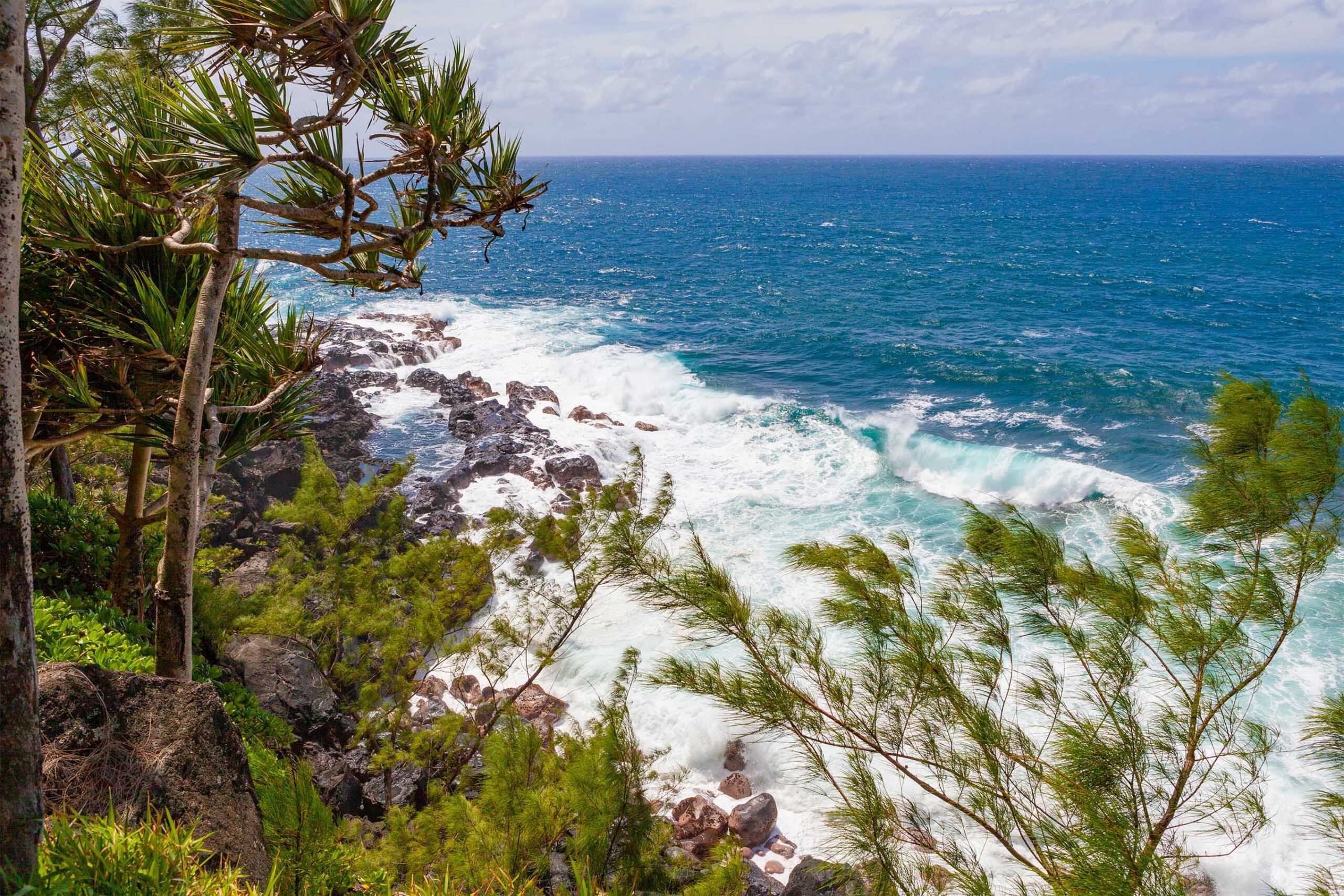 Réunion's Southern Coast, The habitat of Phelsuma inexpectata