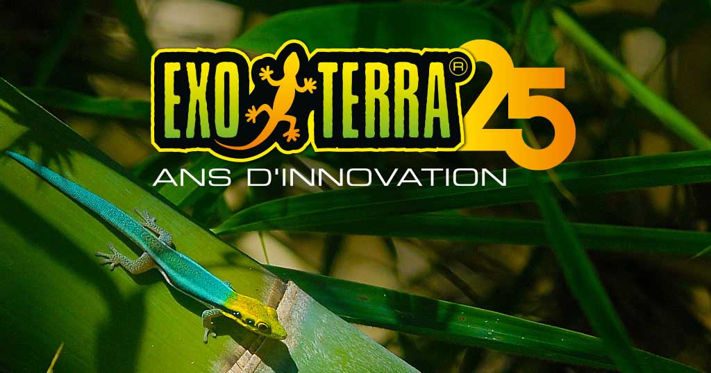 25 Ans D'innovation