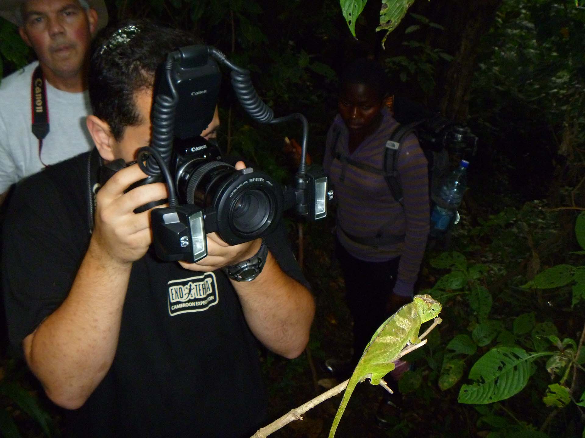 Paludarium: Combine the best of two worlds!