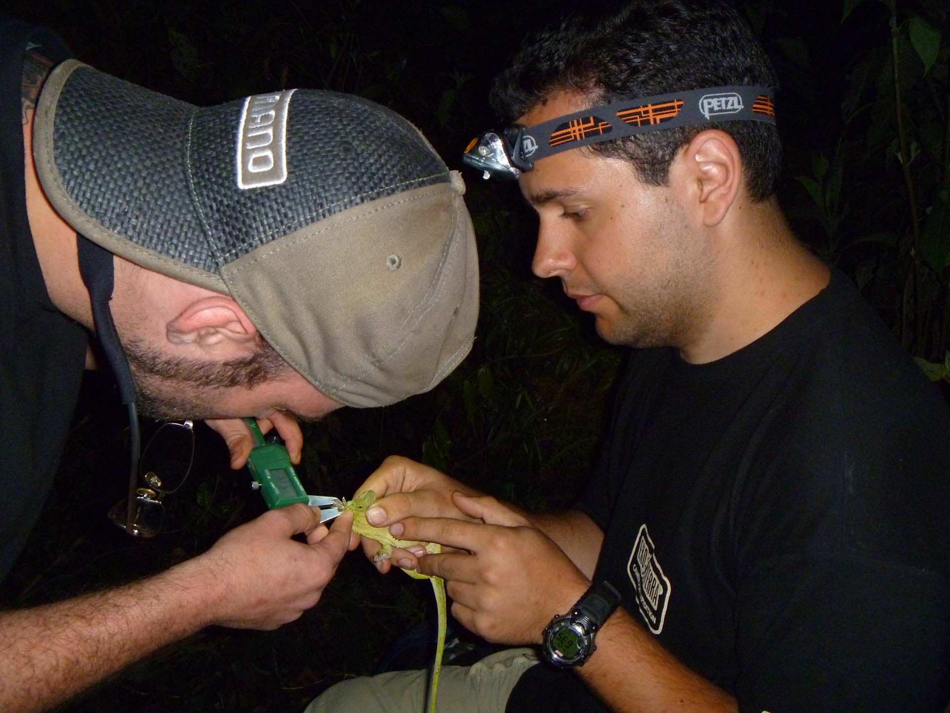 Paludarium: Combine the best of two worlds!