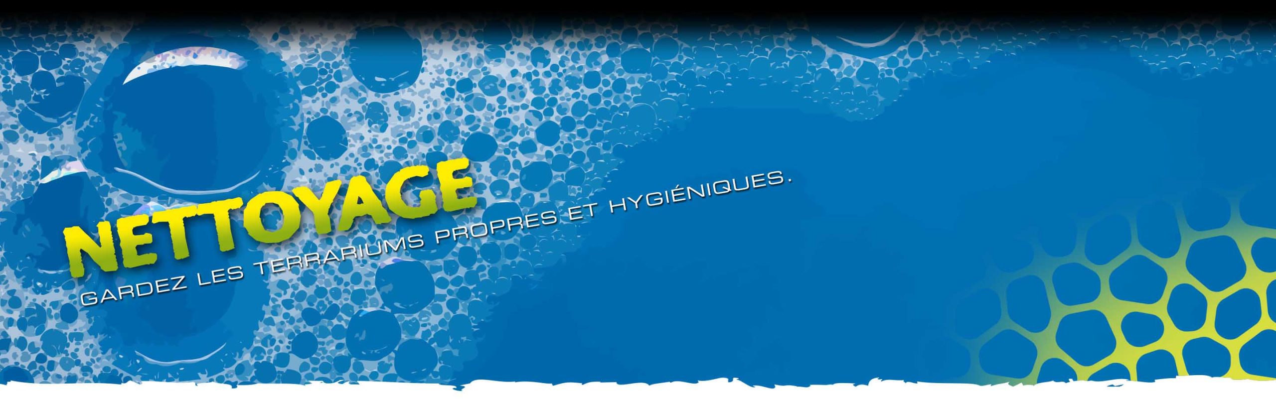 Cleaners Header