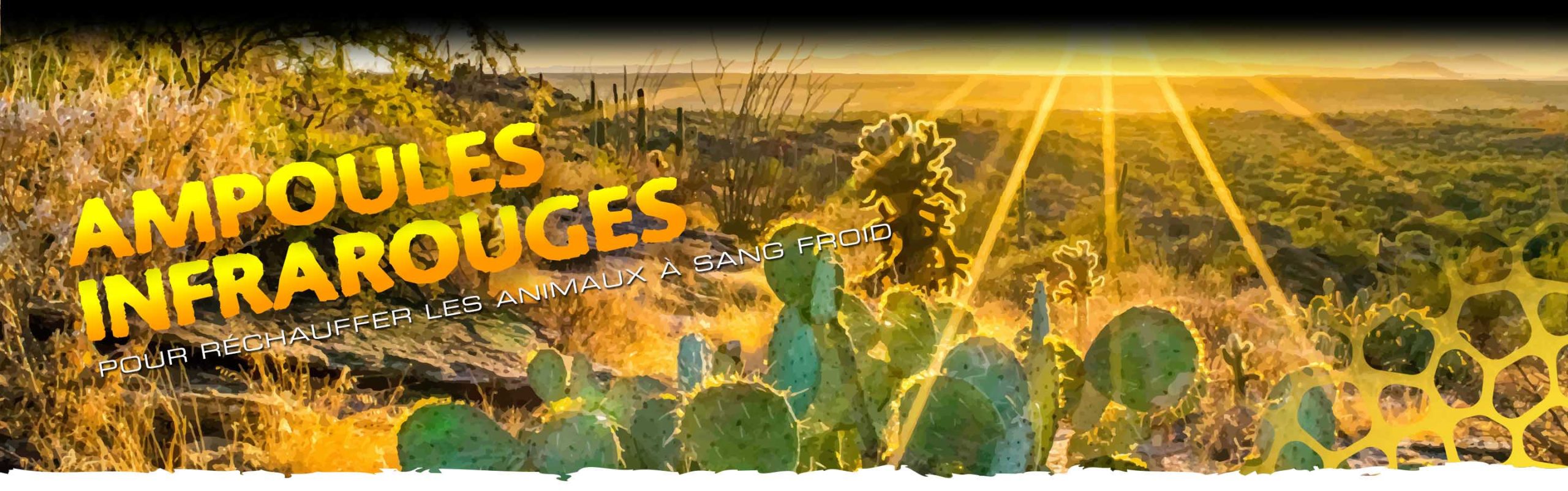 Heat Lamps Header