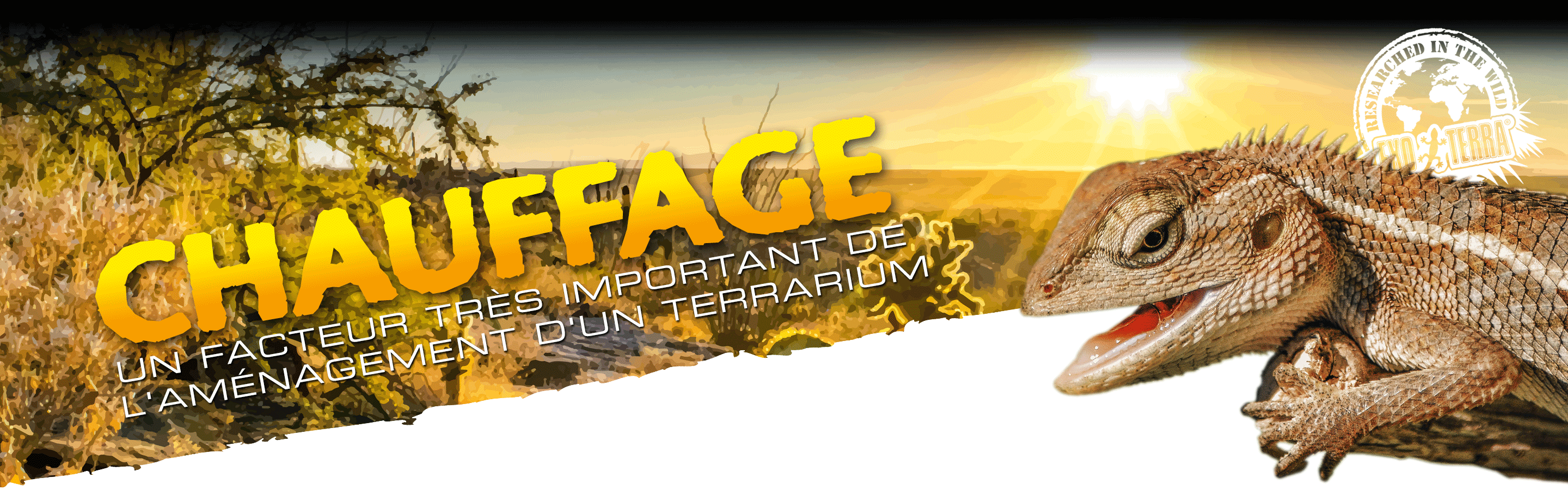 Chauffage
