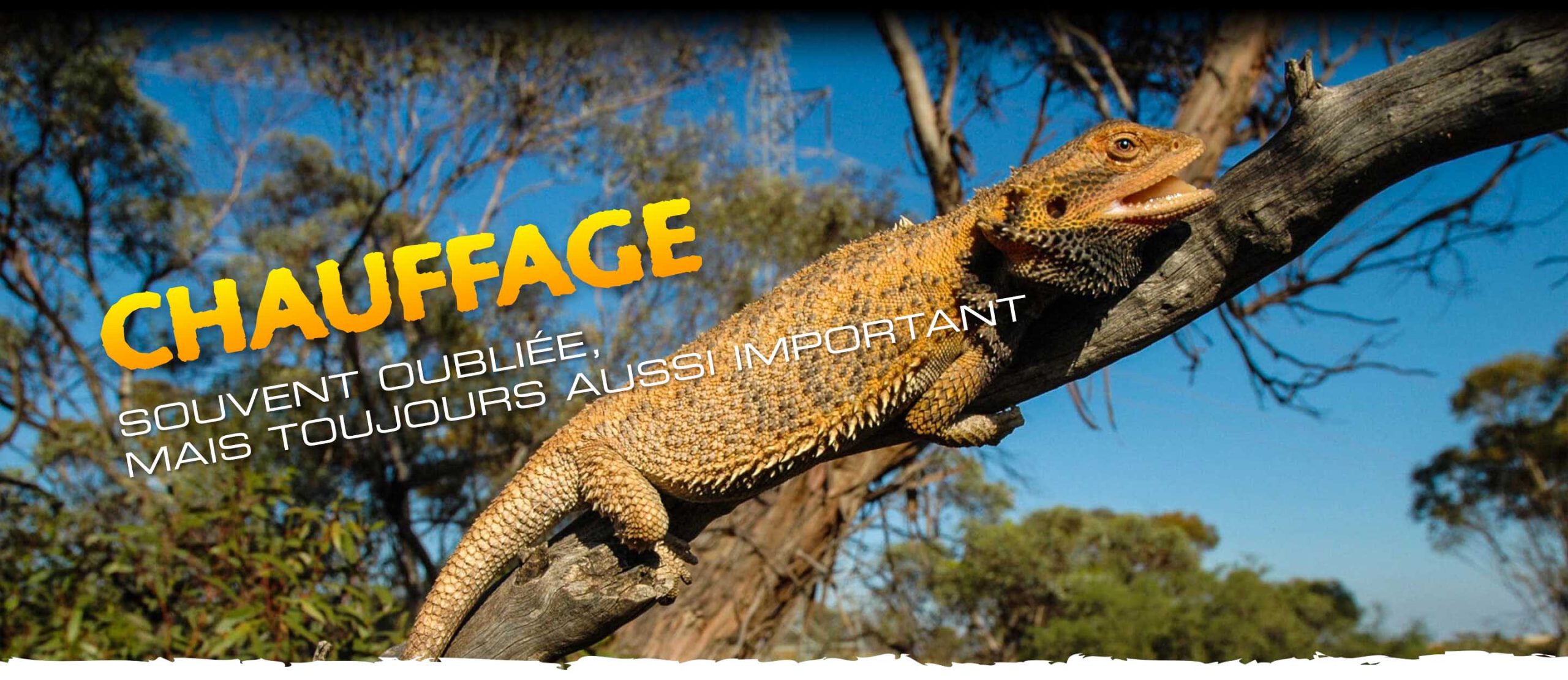 Heating: often forgotten, but ever so important