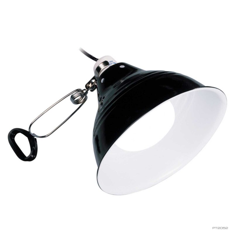 Glow Light Small