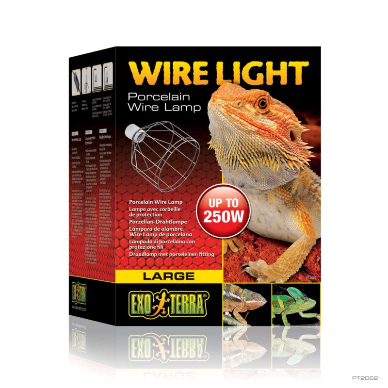 Wire Light Large
