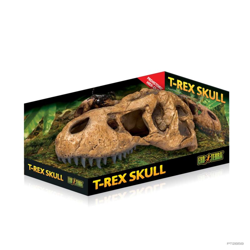 T-Rex Skull